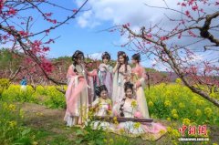 5000多亩桃花绽放 广东连州启动赏花季