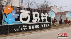 (乡村行·看振兴)山西长子:樱桃“红”了 日子“甜”了